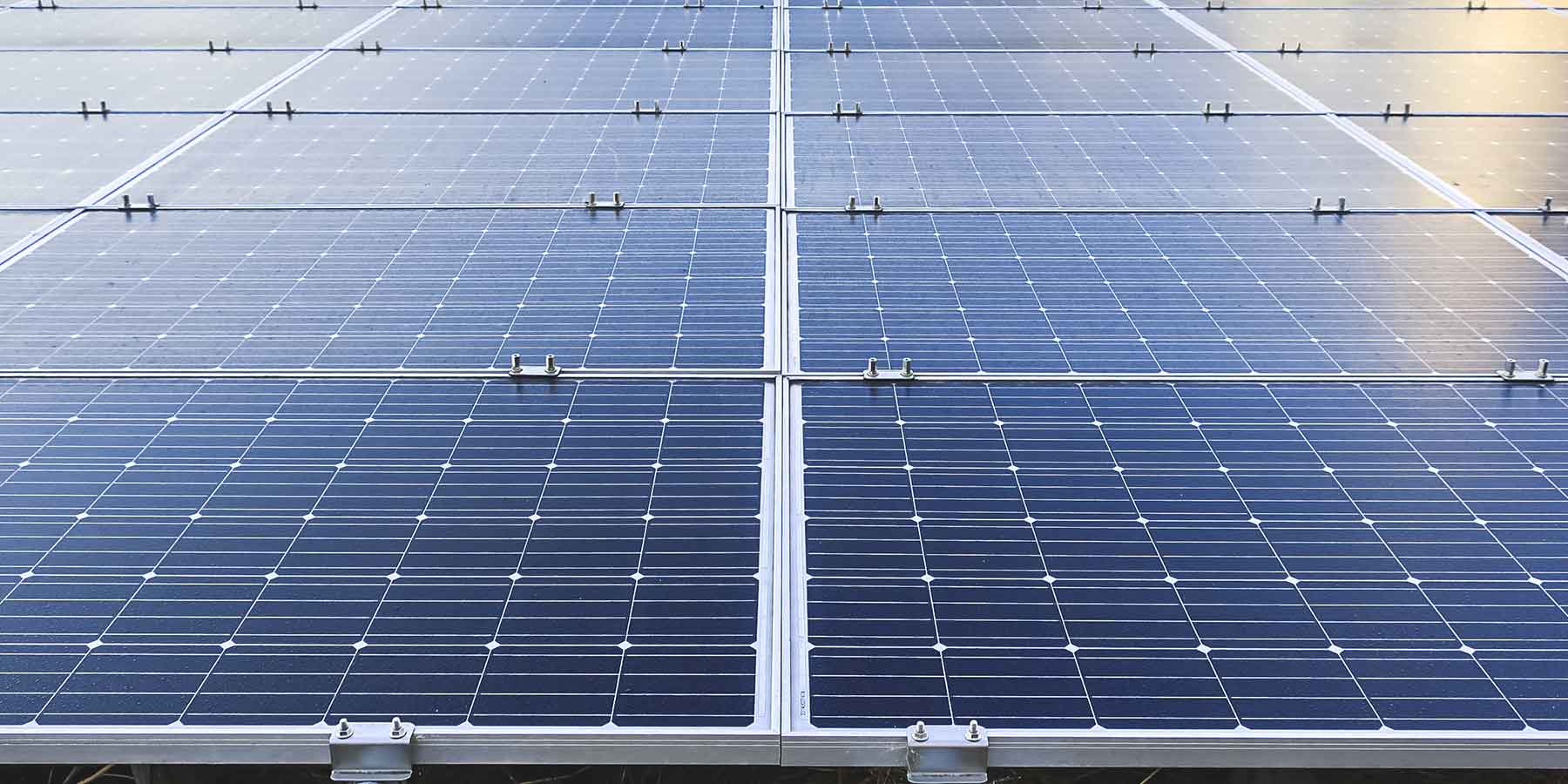 アルプスペイント