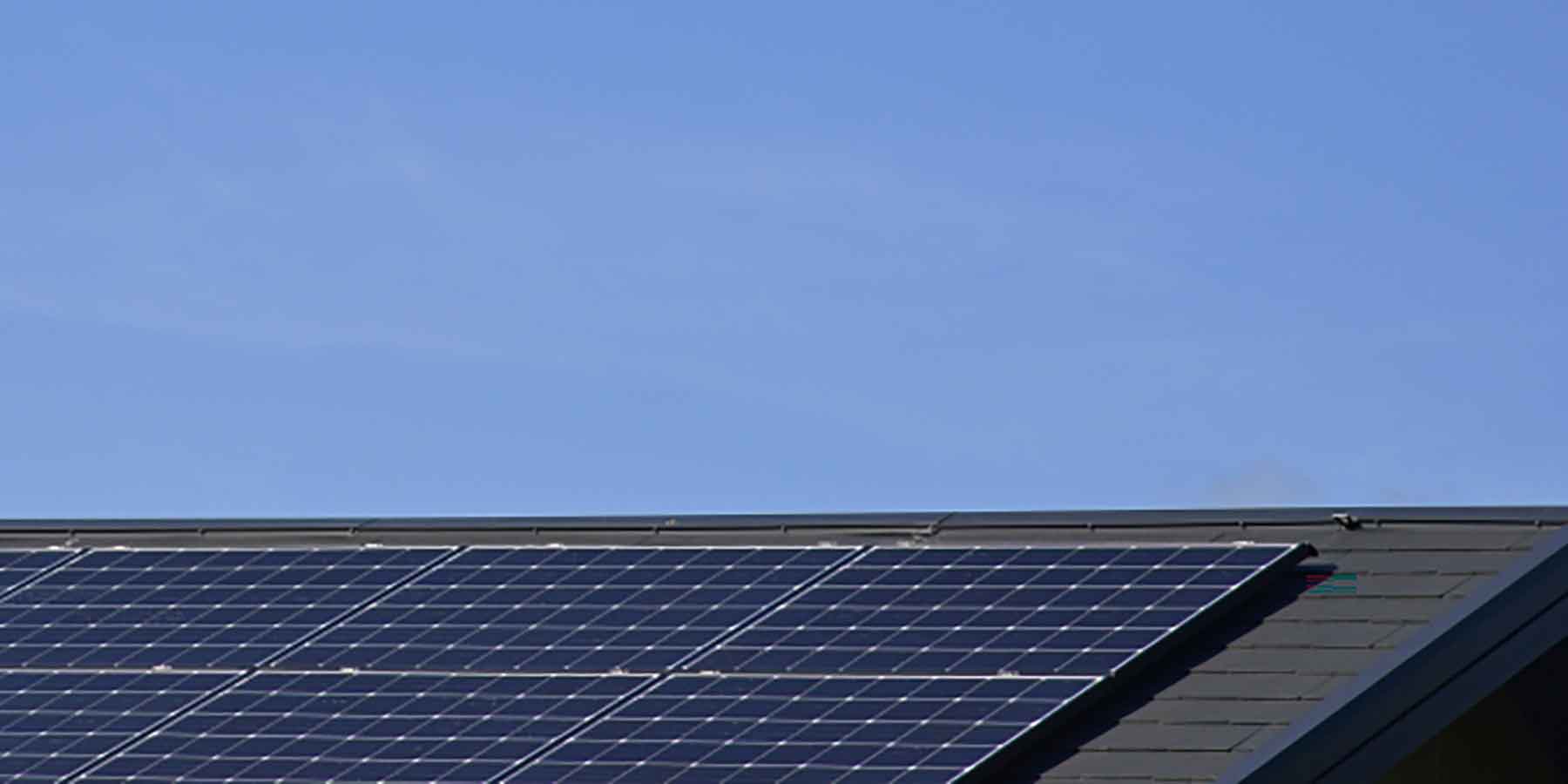 アルプスペイント